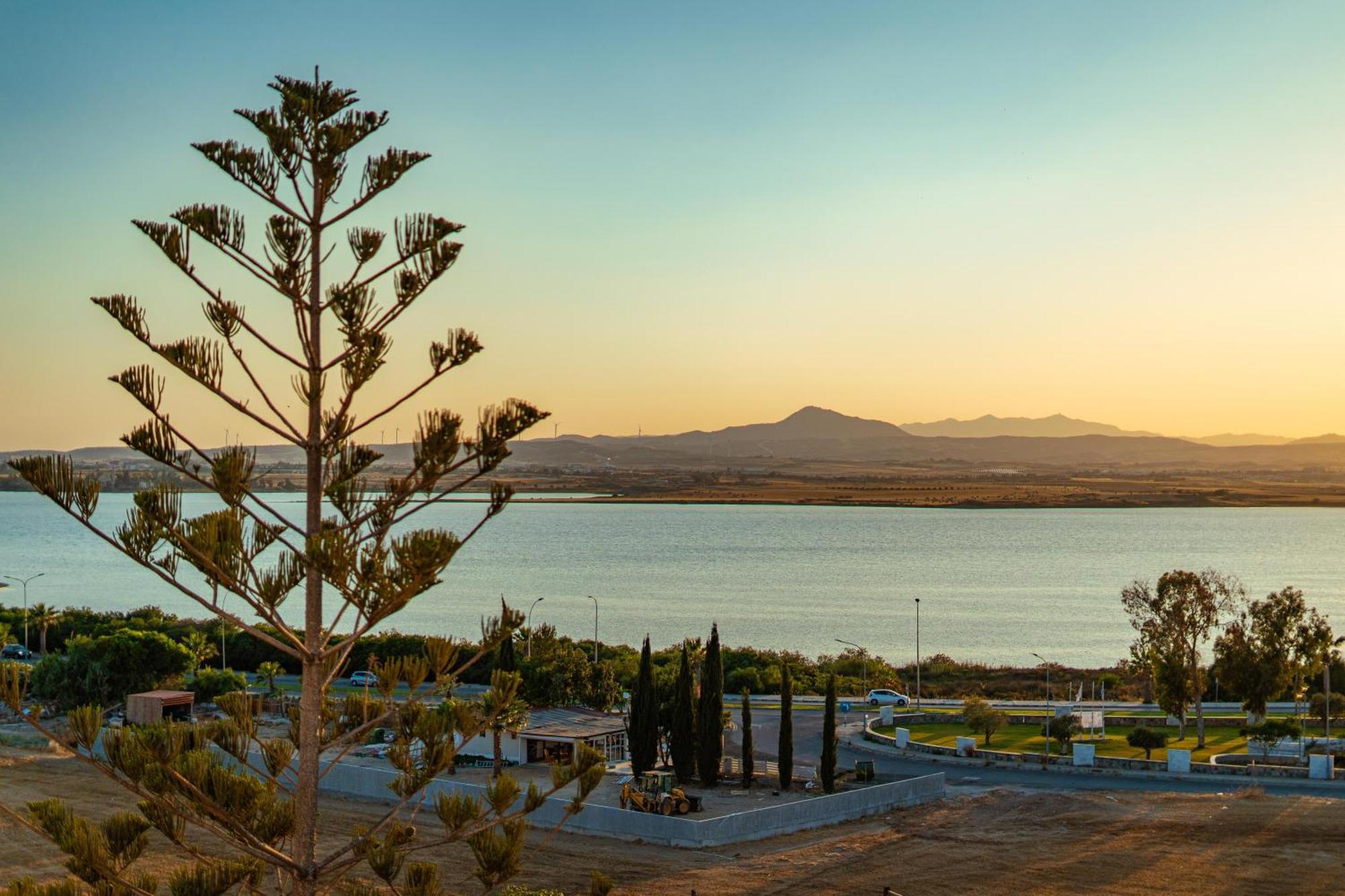 Majestic Sunset Salt Lake Views 300M From Beach Larnaca Ngoại thất bức ảnh